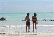 79b71622409566.gif