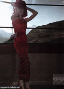 6c739a24593719.gif