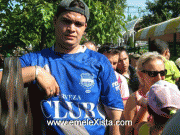 emelec emelecista emelexista