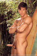 imagebam.com
