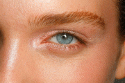 7941d236159346.gif