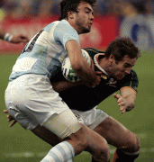 32e73a46710528.gif
