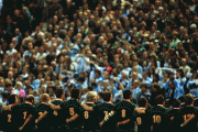 74a18946711877.gif