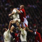 bc5e1d67038564.gif